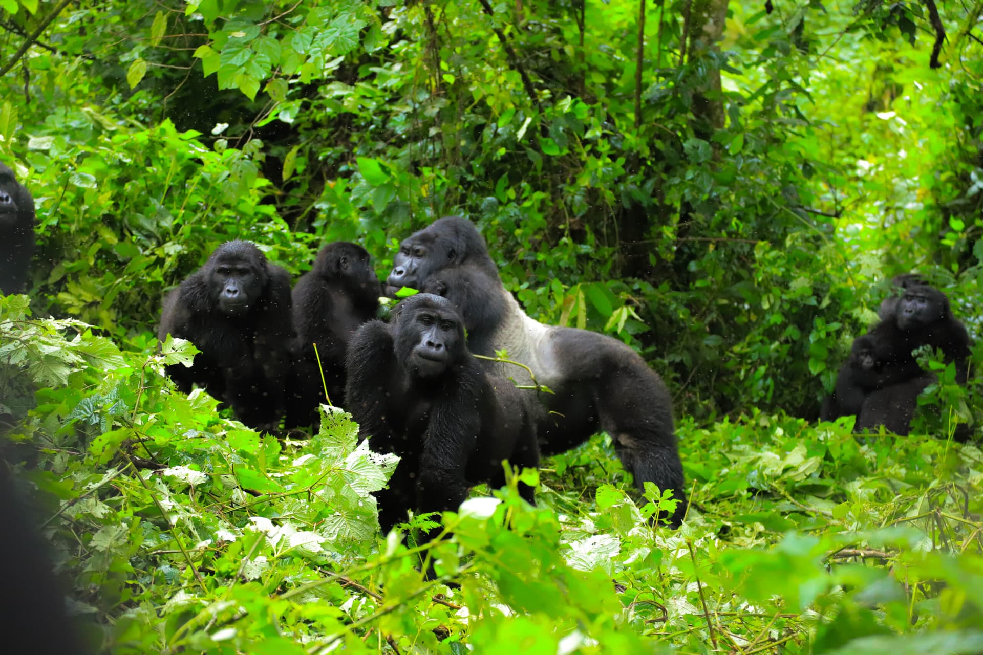15 Best Things to Do in East Africa