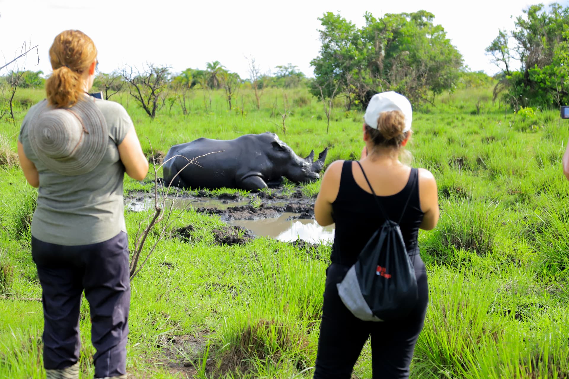 Big Five Game Drives — Queen Elizabeth National Park