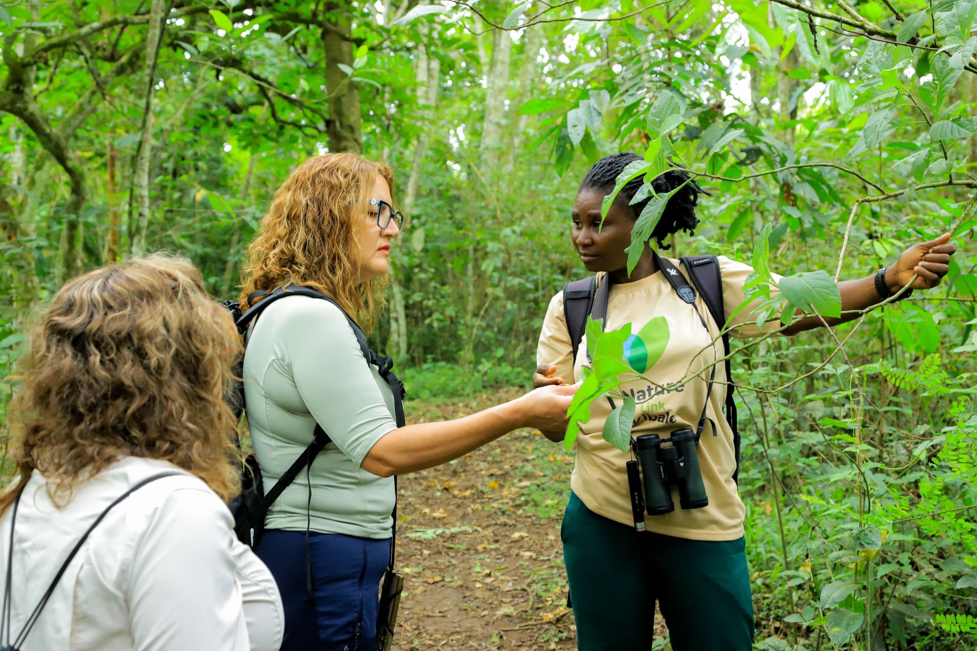Uganda Birding Expedition